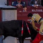 Byk usmrtil v arene v spanielskej Malage byvaleho toreadora