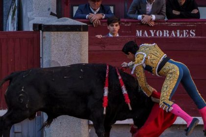 Byk usmrtil v arene v spanielskej Malage byvaleho toreadora