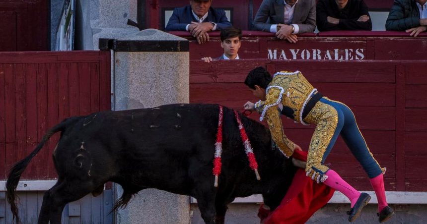 Byk usmrtil v arene v spanielskej Malage byvaleho toreadora