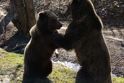 Kosicka zoo zacina jubilejnu sezonu pozyva na velkonocny program