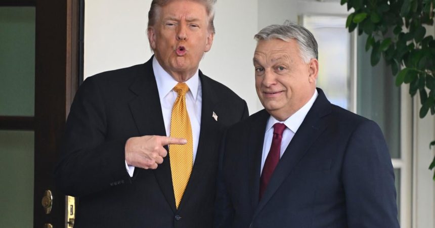 MAGA a nacionalisti s Orbanom prisli o symbol Ich politika vsak ma priestor