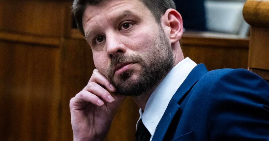 Simecka ako lider PS sa nechysta odstupit jeho matka zoberie zodpovednost ako statutarka