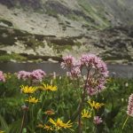 V Tatrach prebieha ticha revolucia Especialisti sa tam vytracaju