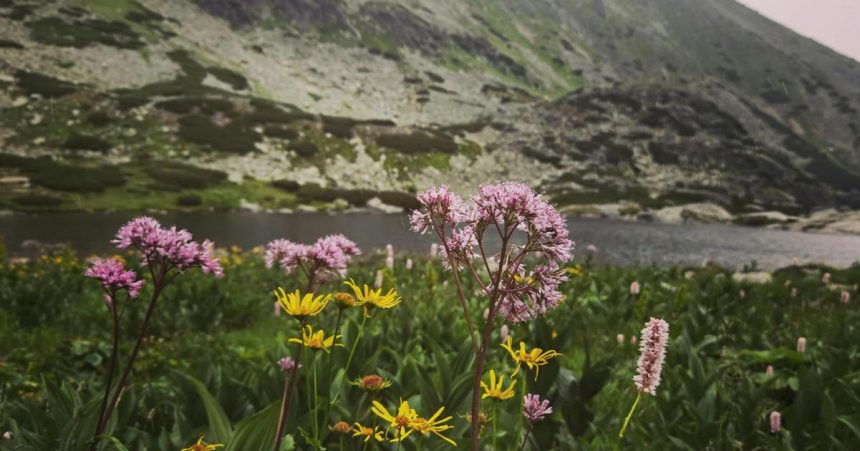 V Tatrach prebieha ticha revolucia Especialisti sa tam vytracaju