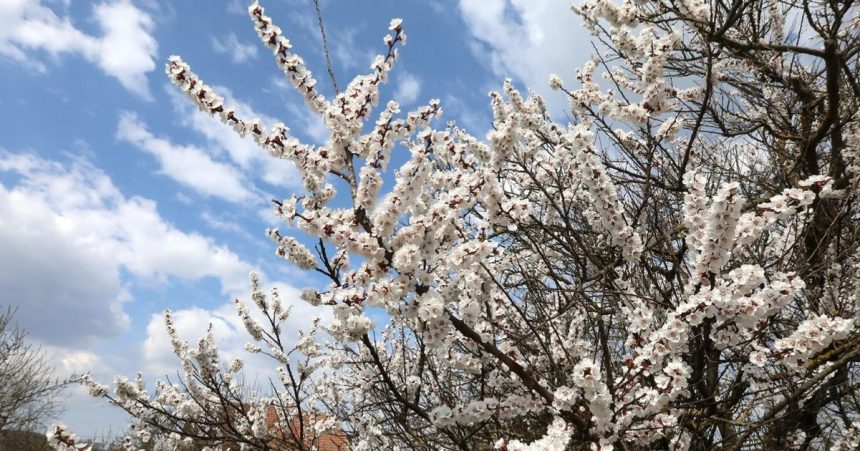 Velky piatok prinasa relativne prijemne jarne pocasie najchladnejsie je na Hornej Orave