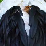 Bojnicka zoo ma novy prirastok rodicia si ho prisne strazia Expoziciu museli v minulosti uzavriet