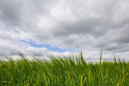 Koniec minuleho tyzdna priniesol zrazky ktore miestami zmakcili sucho