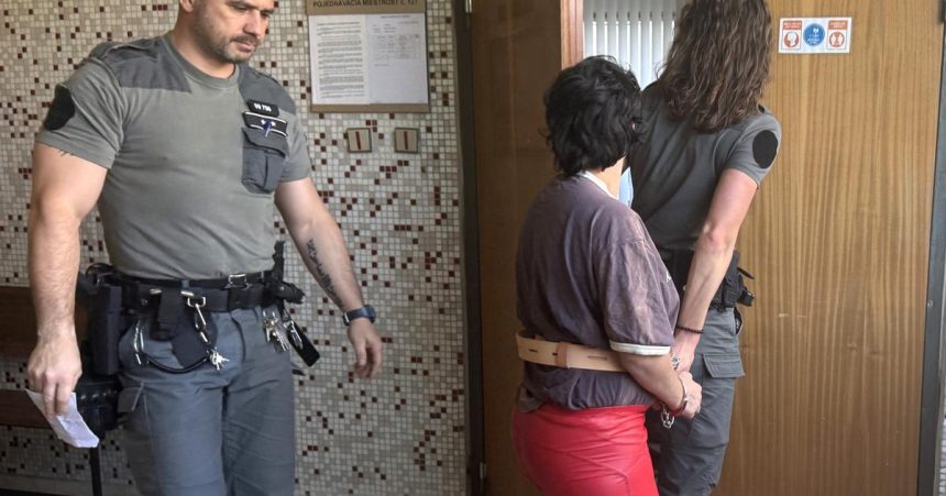 Tinedzerku bodol nozom za pokus o vrazdu dostala 10 rokov Chcem ist domov reagovala