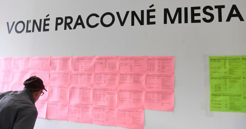 Na trh prace vstupuju absolventi Ich predstavy sa casto stretavaju s realitou