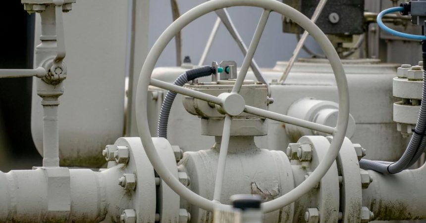 Nazov v slovencine vyvoz ruskeho skvapalneneho zemneho plynu od zaciatku roka vzrastol o viac ako desatinu