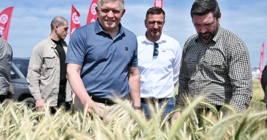 Polnohospodarstvio celi podla premiera Fica dvom velkym vyzvam