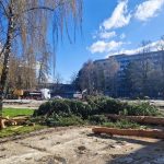 Stromy na Vajanskeho namest vyvolali vsne Primtor Martina el kritike za svoje vyjadrenia