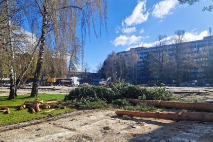 Stromy na Vajanskeho namest vyvolali vsne Primtor Martina el kritike za svoje vyjadrenia