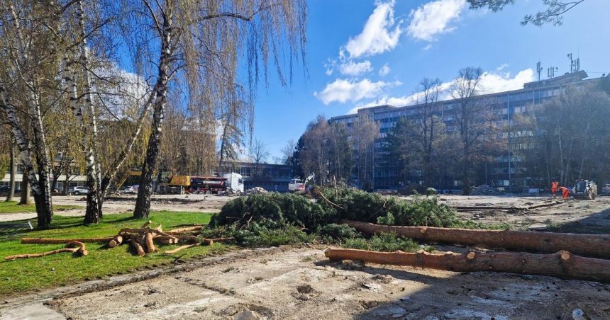 Stromy na Vajanskeho namest vyvolali vsne Primtor Martina el kritike za svoje vyjadrenia