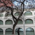 iniciativa slobodna narodna galeria zaslala podnet parlamentnemu vyboru pre kulturu a media