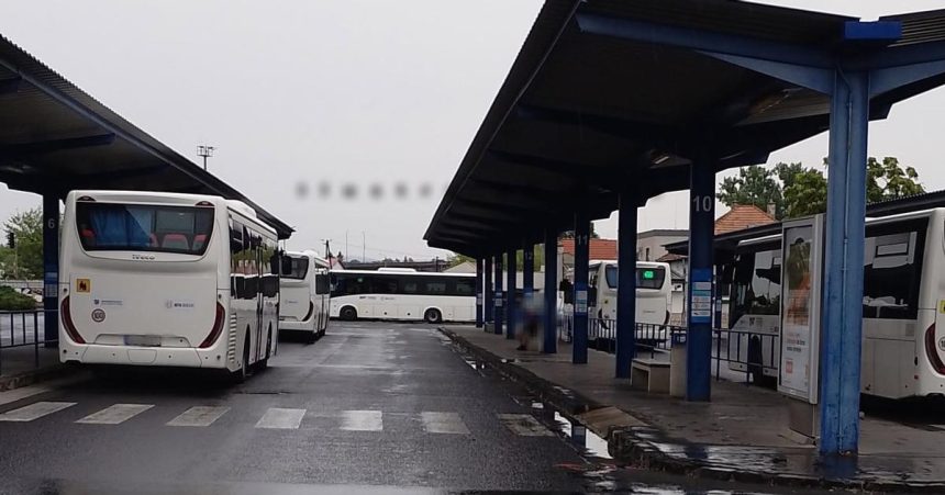 Chladnokrvny utok na stanici Mestsky policajt musel zakrocit silou