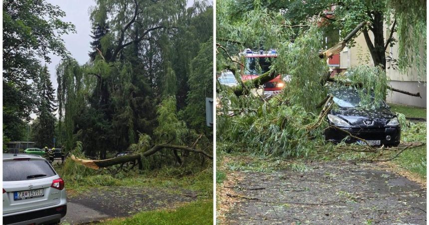 Polamane stromy silny vietor a krupobitie Zilinou sa prehnala silna burka prudko sa ochladilo