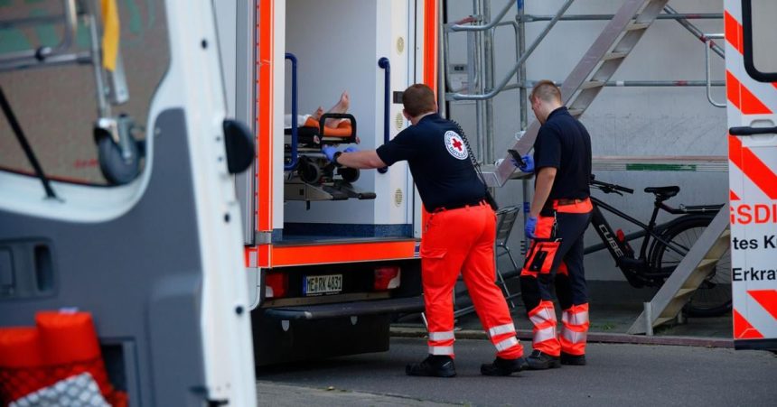 V Nemecku zaznamenali tento rok uz viac ako 800 umrti sposobenych horucavami