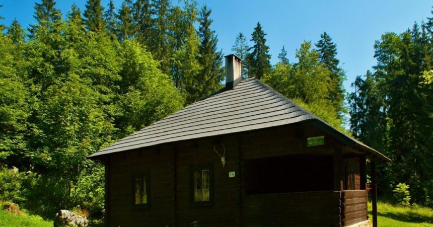 Za 20 eur noc v srdci divociny V tychto chatach sa ludia odpojuju od sveta