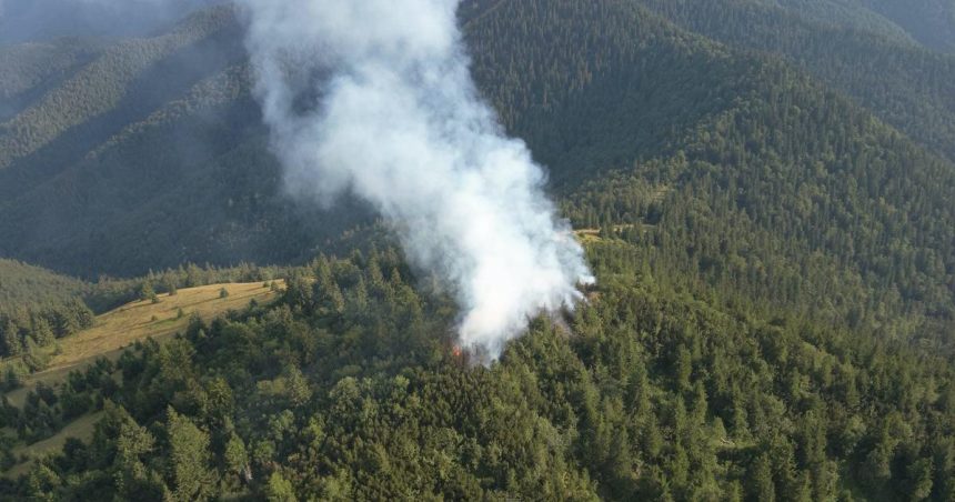 Lesny poziar v Narodnom parku Velka Fatra bol uspesne zlikvidovany
