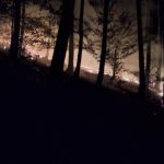 Ohen mohol sposobit obrovske skody Desiatky hasicov sa vybrali k nocnemu poziaru lesa