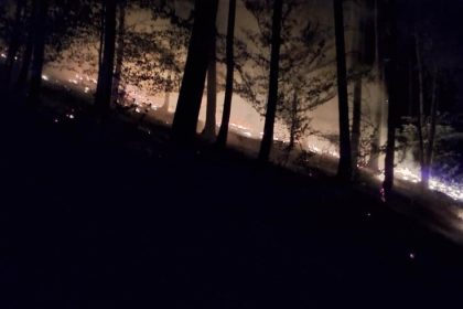 Ohen mohol sposobit obrovske skody Desiatky hasicov sa vybrali k nocnemu poziaru lesa