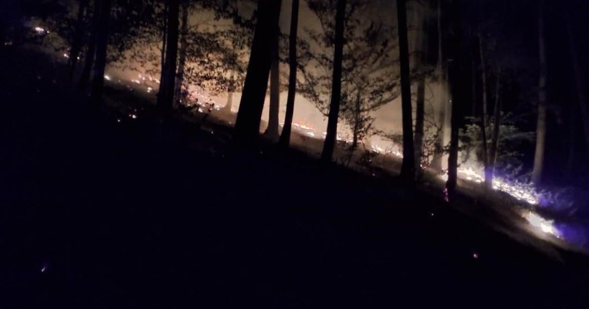 Ohen mohol sposobit obrovske skody Desiatky hasicov sa vybrali k nocnemu poziaru lesa