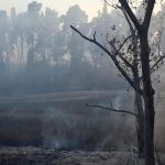 V belgickom prirodnom parku Hautes Fagnes zhorelo uz tritisic hektarov lesov
