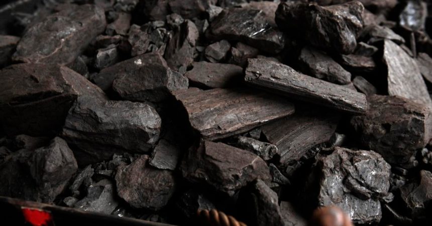 V roku 2025 dosiahnlo uhlje pri vyrobe elektriny v Uniji historicke minimum